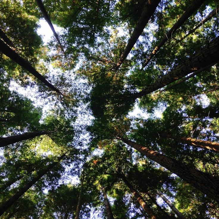 Protected areas overview